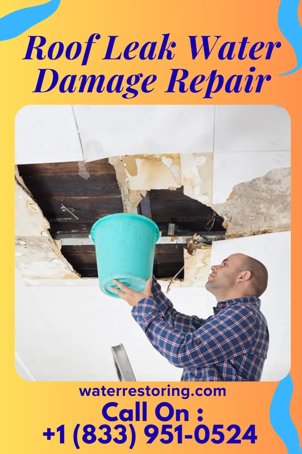 Roof Leak Water Damage Repair in Henrietta, TX